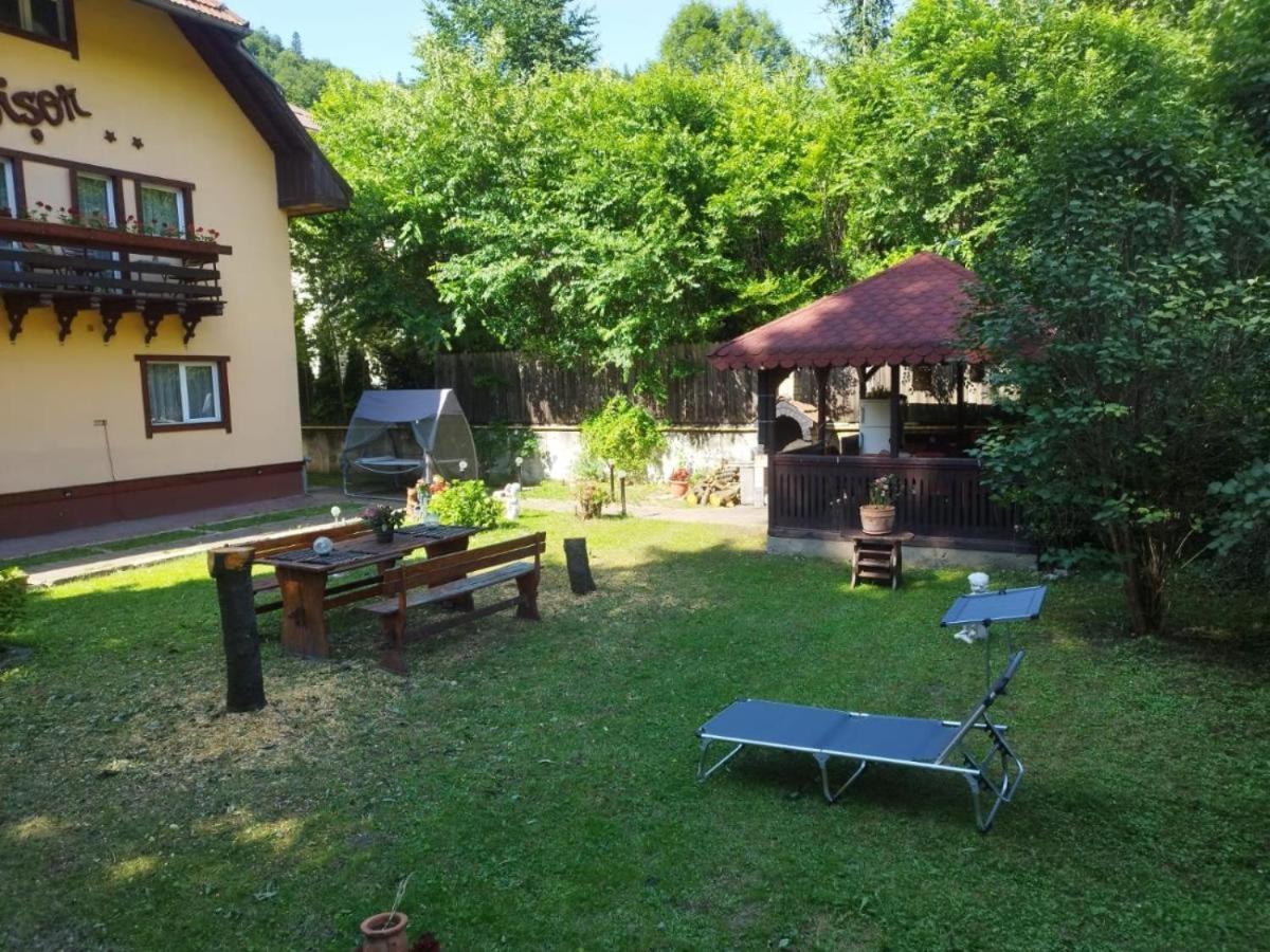 Villa Foisor Buşteni Eksteriør billede