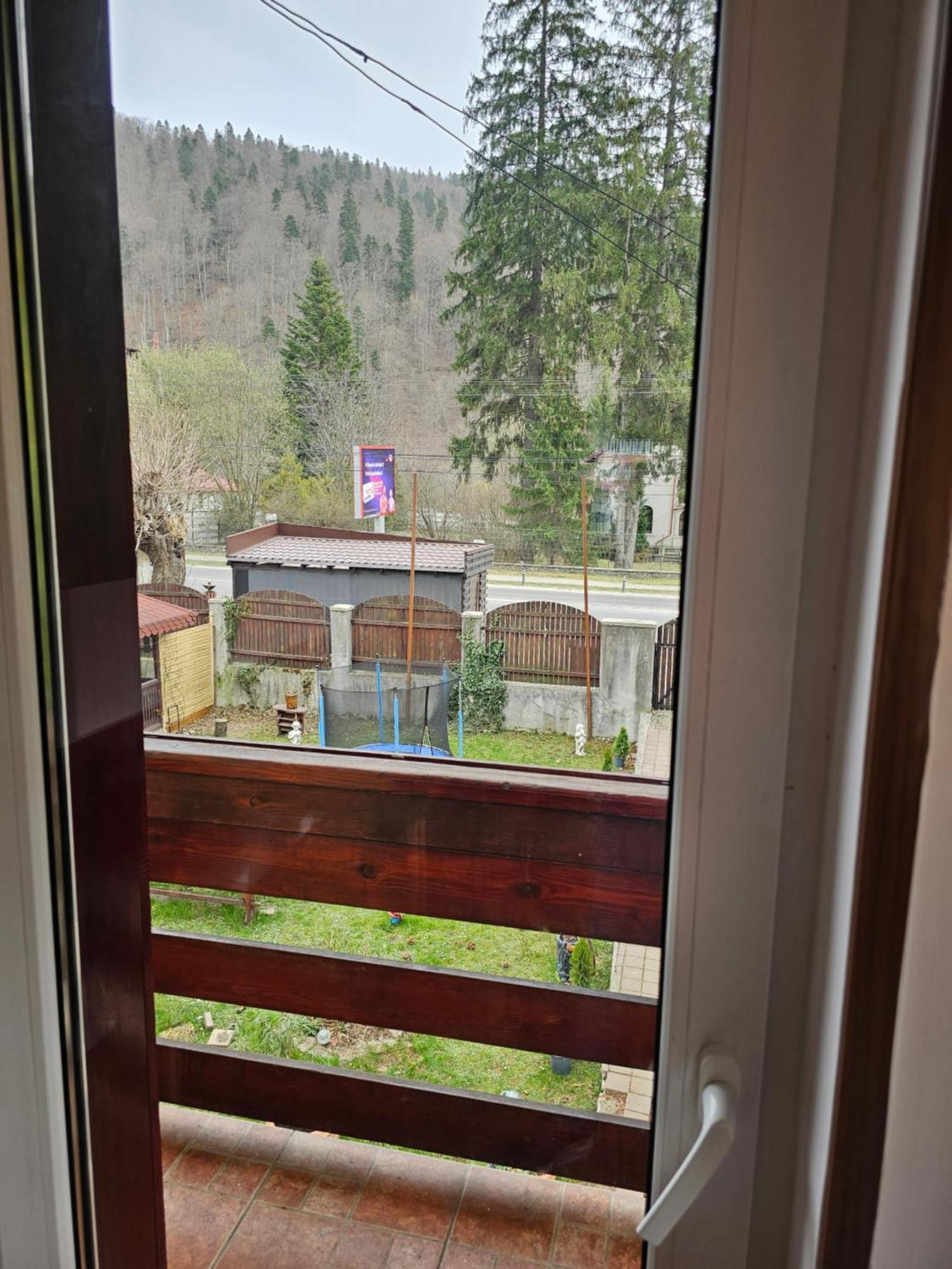 Villa Foisor Buşteni Eksteriør billede